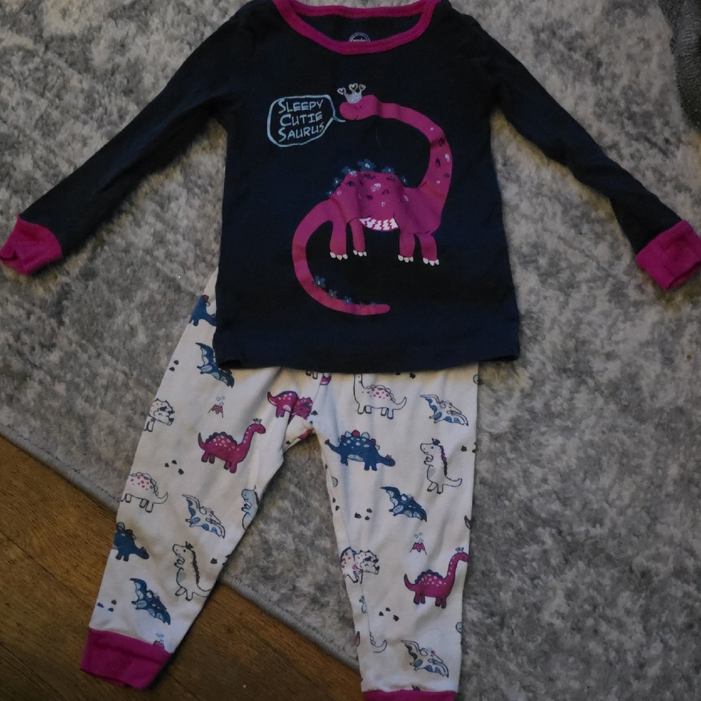 Wonder Nation Dinosaur Pajama Set - Navy and Pink